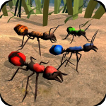 ȫԱ֮ٹٷ V1.1